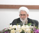 برخی عناصر بی بصیرت از سر جهالت و ناآگاهی آب به آسیاب دشمن میریزند برخی عناصر بی بصیرت از سر جهالت و ناآگاهی آب به آسیاب دشمن میریزند
