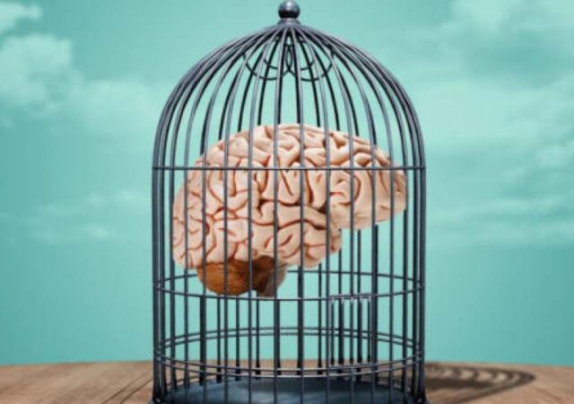 تصلب شناختی و انعطاف‌پذیری ذهن