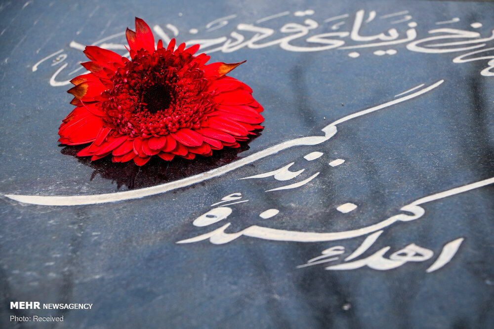 تصمیمی که جان میبخشد؛ چرا ثبت رسمی اهدای عضو حیاتی است؟ تصمیمی که جان میبخشد؛ چرا ثبت رسمی اهدای عضو حیاتی است؟