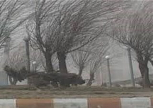 ثبت تندباد 94 کیلومتری در نیر