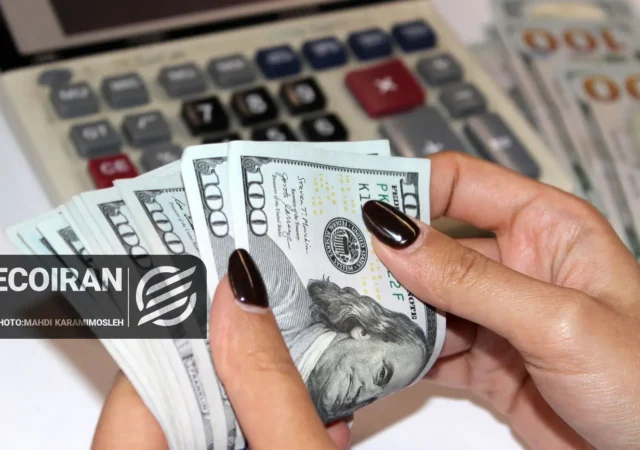 دلار تا کجا افزایشی خواهد بود؟ / پیش‌بینی مهم یک کارشناس اقتصادی