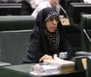 زمانی: بودجه سالانه بیشتر به نفع شرکتهای دولتی طراحی شده است زمانی: بودجه سالانه بیشتر به نفع شرکتهای دولتی طراحی شده است