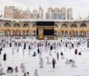 فوت ۱۲ نفر از زائران ایرانی در عمره/ سازمان حج و زیارت اعلام کرد فوت ۱۲ نفر از زائران ایرانی در عمره/ سازمان حج و زیارت اعلام کرد