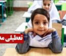 فوری / تعطیلی مدارس تا یکشنبه ۱۴ دی ۱۴۰۴ قطعی شد