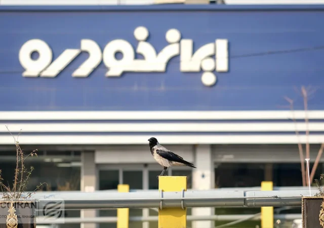 نتایج قرعه‌کشی ایران‌خودرو: وضعیت خودروی هایما را با کد ملی ببینید