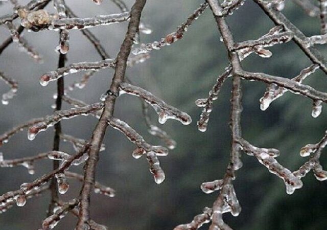 هشدار نارنجی هواشناسی؛ گلستان فردا یخ می‌زند