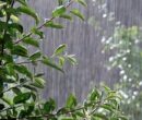 کاهش ۸ درجه‌ای دما در البرز/ برف و یخبندان در راه استان