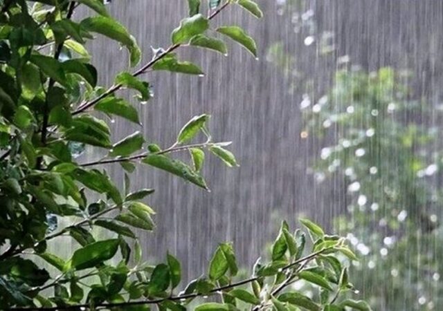 کاهش ۸ درجه‌ای دما در البرز/ برف و یخبندان در راه استان
