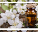 ۵ نوع روغن برای افزایش میل جنسی ۵ نوع روغن برای افزایش میل جنسی