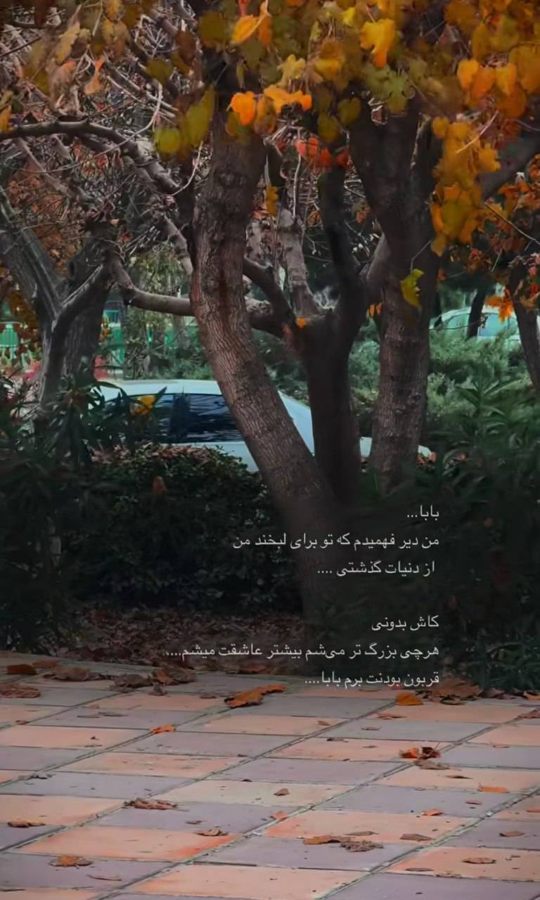 استوری روز پدر ۱۴۰۴ برای اینستاگرام / پدرم روزت مبارک استوری روز پدر ۱۴۰۴ برای اینستاگرام / پدرم روزت مبارک