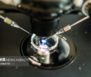 تأثیر مصرف دخانیات و الکل بر بارداری و موفقیت IVF