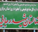 توزیع 1.5 میلیون نهال در استان مرکزی توزیع 1.5 میلیون نهال در استان مرکزی