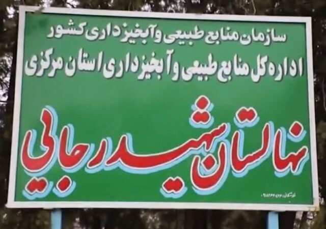 توزیع 1.5 میلیون نهال در استان مرکزی