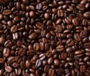 قهوه‌های بدون مجوز توقیف شد!