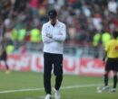 گل‌محمدی و مشتری ثابت پرسپولیس / مازادهای فولاد در مسیر سرخ‌ها