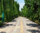 آغاز فوری پایش ایمنی بوستان‌ها در آستانه نوروز