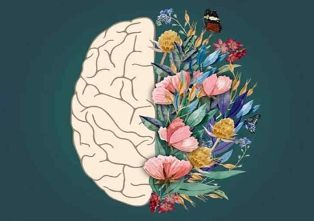 اصول اولیه درمان و مداخلات روان‌شناختی