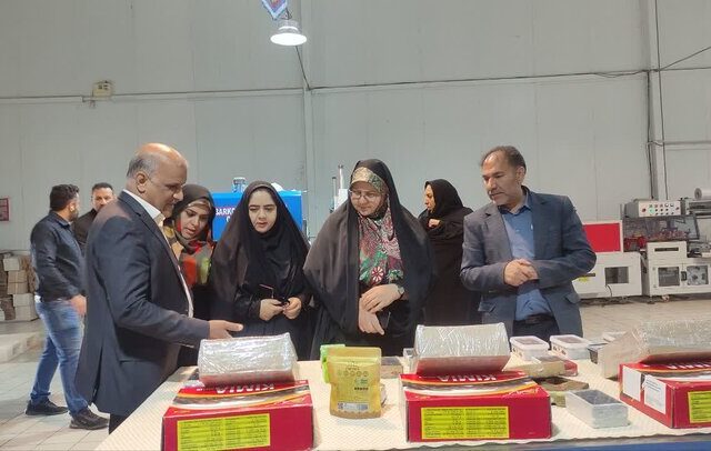 مشاغل خانگی زنان در بهبود معیشت خانواده‌های شرق کرمان نقش کلیدی دارد