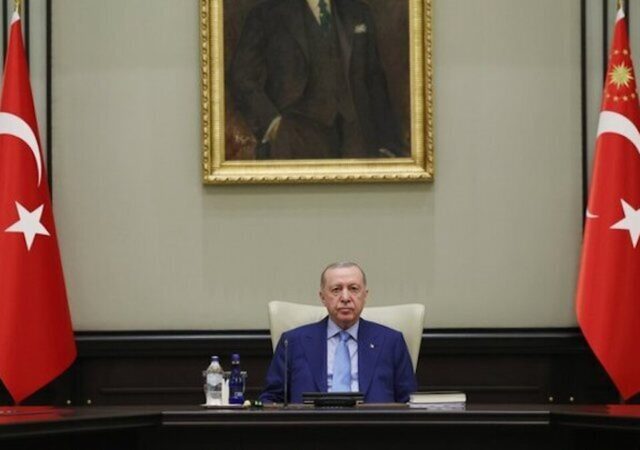 اردوغان استفاده از اسلحه در ترکیه را محدود می‌کند