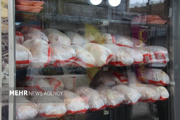 الهی سرشت: توزیع کالا باید کاملاً هدفمند و کنترل‌شده باشد