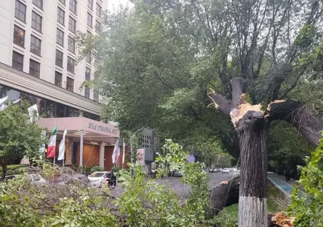 تازه‌ترین آمار از تعداد مصدومان طوفان امروز در تهران