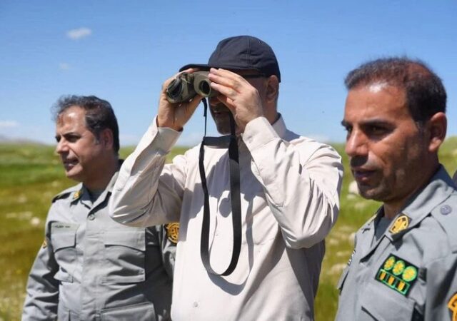 حبیبی: قراویز با حمایت مردم بهشت امن آهوان ایرانی شده است