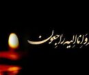 دروازه‌بان سابق پرسپولیس درگذشت