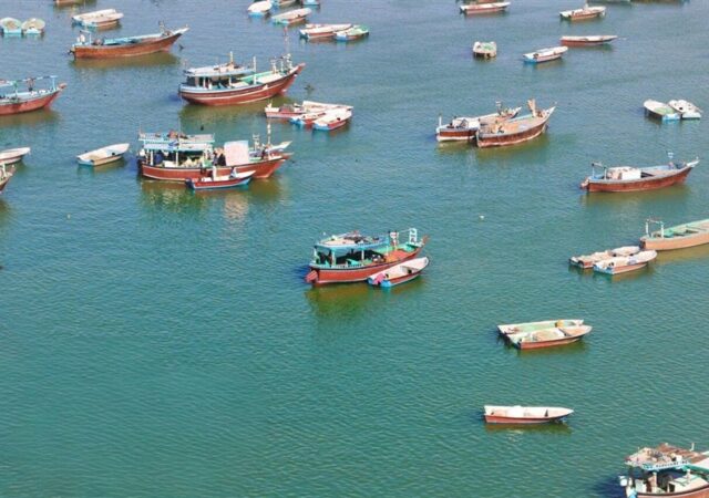 صیادان بوشهر؛ نگهبانان بی‌صدای خلیج فارس در روزهای التهاب و جنگ