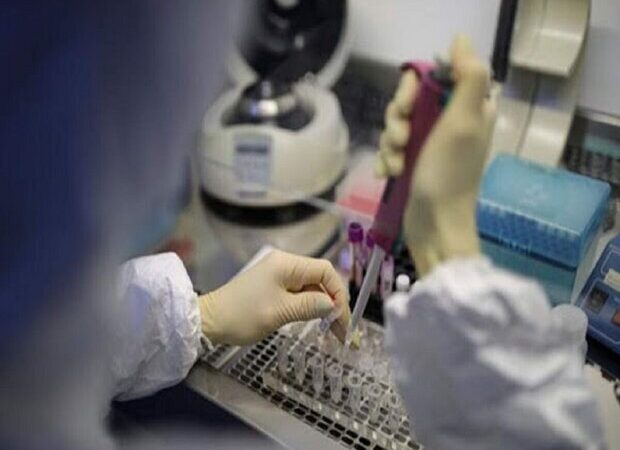 ناظمیان‌پور: ۳۷ هزار تست آزمایشگاهی در «دیر» انجام شد