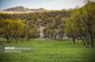 هشدار محیط زیست کردستان به طبیعت‌گردان در فصل زادآوری حیات‌وحش