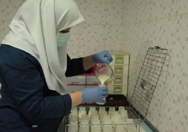 ۲۱۶ مادر داوطلب شیر اهدا کردند