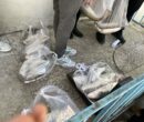 اجرای پویش «هر خانواده ایرانی، یک وعده ماهی» در لرستان