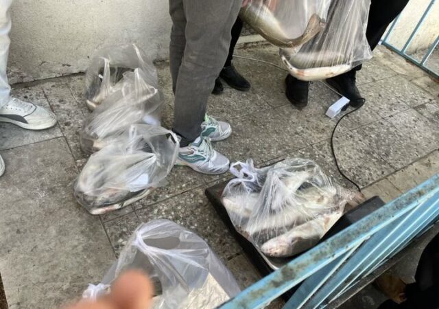 اجرای پویش «هر خانواده ایرانی، یک وعده ماهی» در لرستان