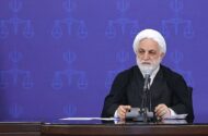اژه ای: به بهانه شرایط جنگی، مجوز عدول از شرع و قانون صادر نشود