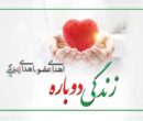 بیش از ۱۴۰۰ بیمار در شیراز با پیوند عضو به زندگی بازگشتند