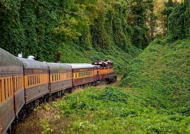 حادثه مرگبار در رشت ۲ فوتی برجا گذاشت