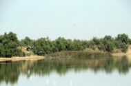 حیات دوباره «حله» پس از دو دهه؛ تالابی که با بارندگی‌های اخیر جان گرفت