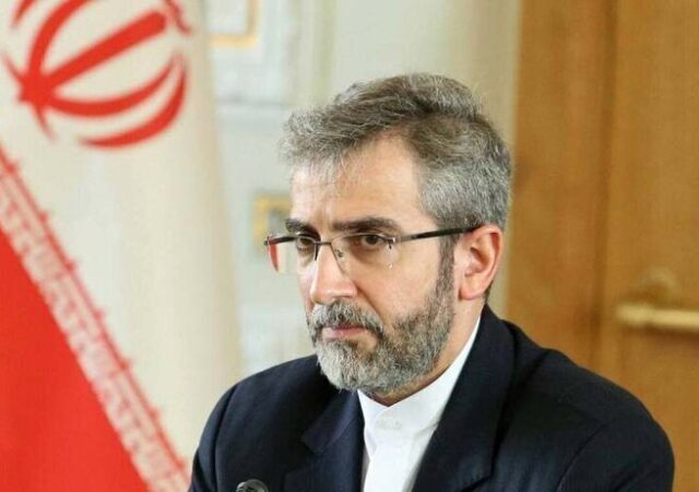 دیدار علی باقری با معاون وزیر خارجه روسیه