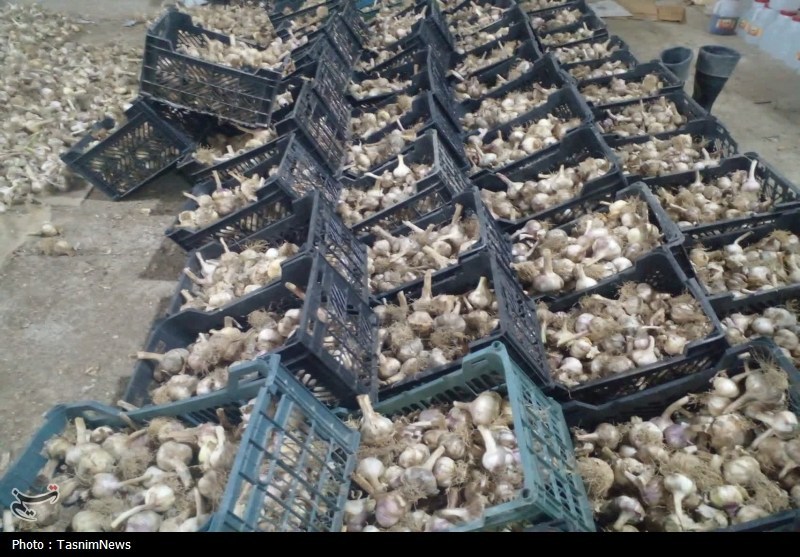 اخبار استان مازندران , اخبار ساری , 