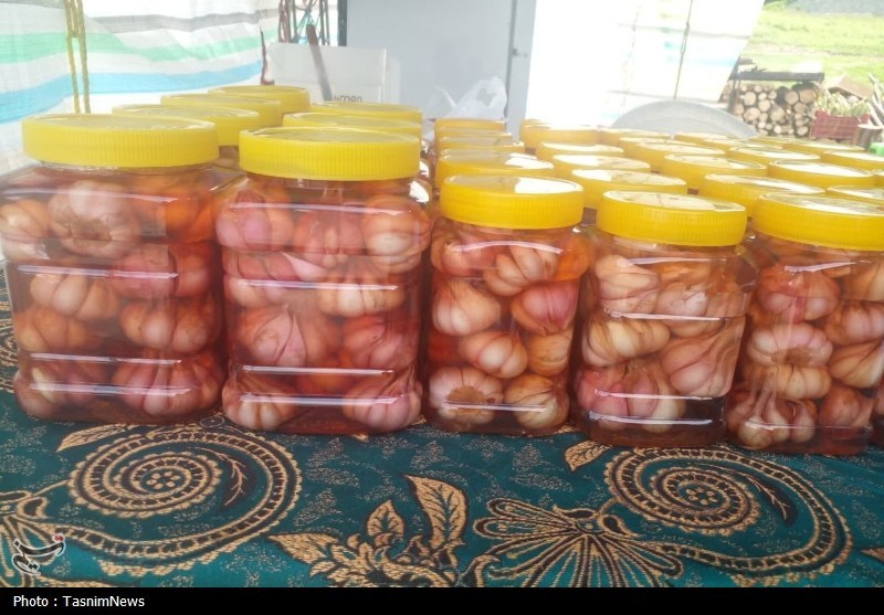 اخبار استان مازندران , اخبار ساری , 
