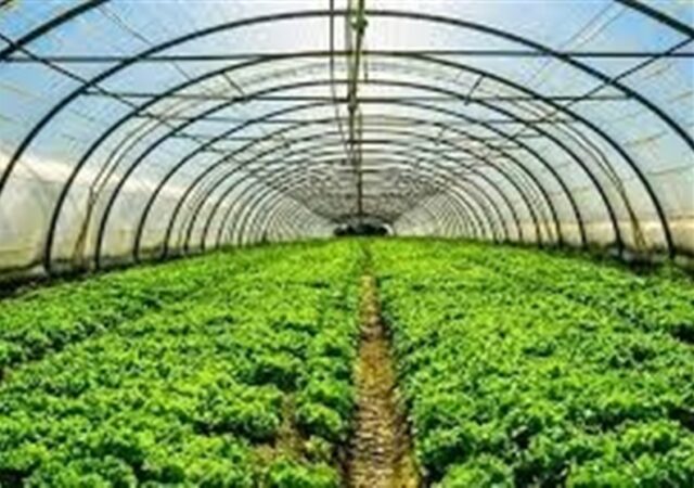 روستایی که زنانش اقتصاد را دوباره نوشتند/ در میارکلا چه خبر است؟