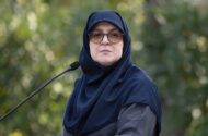 سخنگوی دولت: هیچ اختلافی در کشور وجود ندارد 