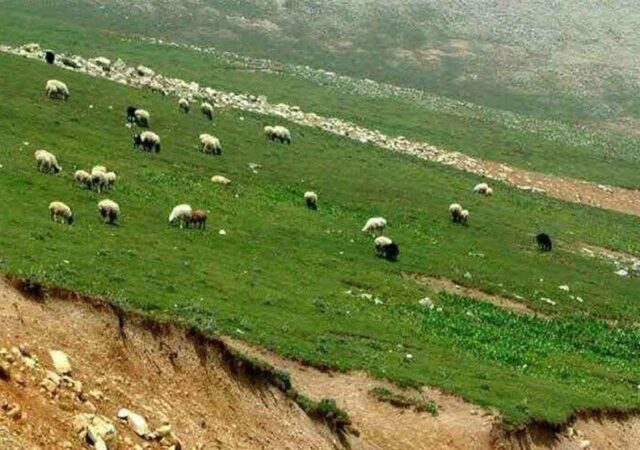 مراتع ایران در مسیر ‌فرسایش‌/ ریشه بحران در ثروت طبیعی کجاست؟