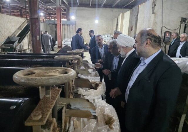 ورود نخستین کمباین چندمنظوره برداشت چای به کشور