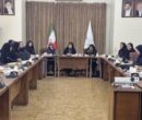 کارگروه دختران نوجوان و جوان برای تقویت هویت و خودباوری تشکیل شد