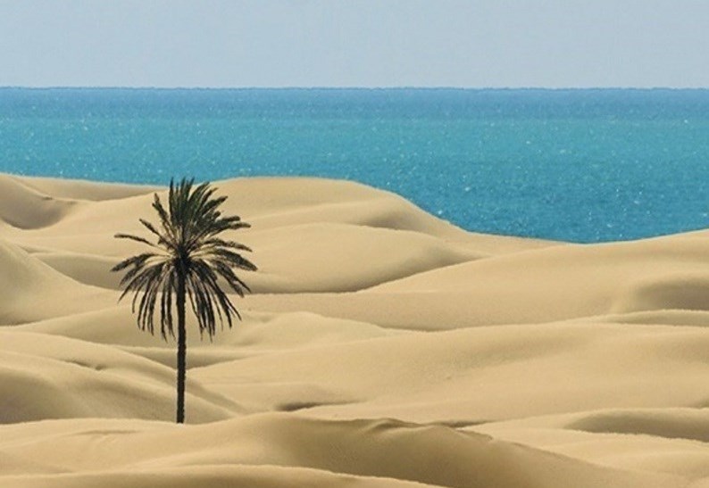 اخبار بلوچستان , 