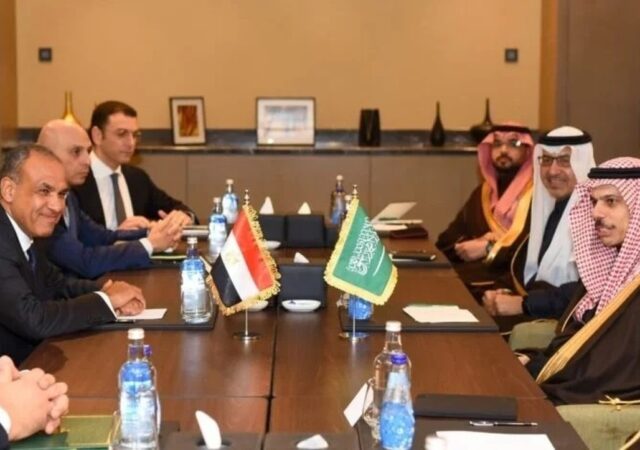 گفت‌وگوی وزیران خارجه مصر و عربستان درباره جنگ در منطقه
