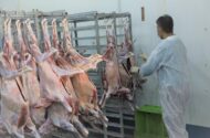 ۸۹ گروه دامپزشکی در اصفهان بر ذبح دام‌ قربانی نظارت می‌کنند