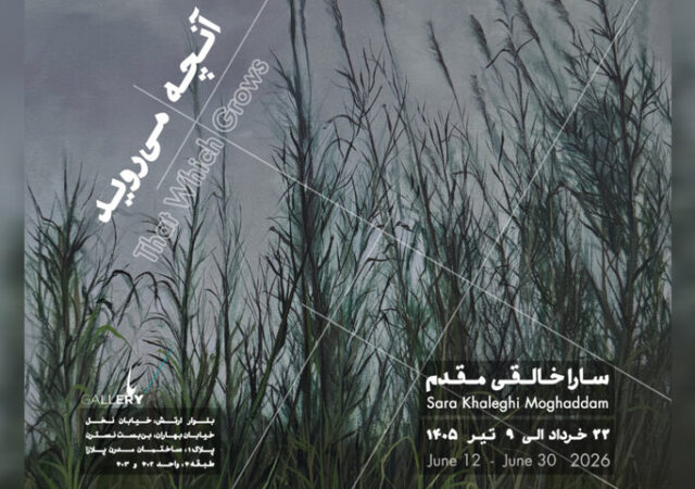 «آنچه می‌روید» به باگالری رسید؛ وفادار به بی‌نظمی جهان