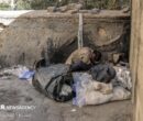 از سم‌زدایی تا اشتغال؛ نسخه جدید برای درمان اعتیاد